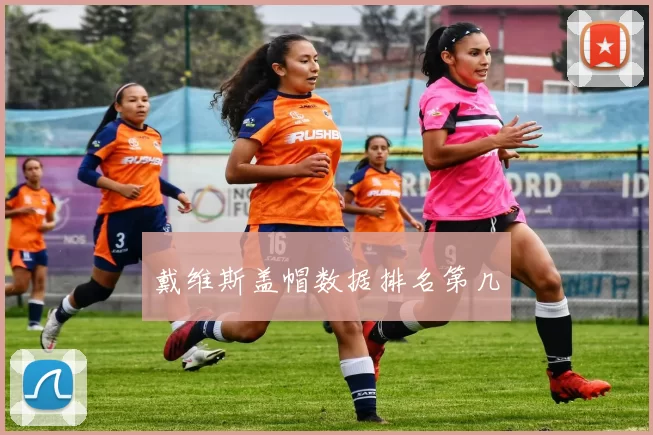戴维斯盖帽数据排名第几
